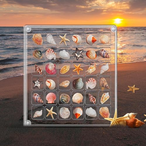 36 Grids Muschel Sammelbox, Transparent Seashell Display Box, Magnetic Display Muschelbox, Shell Display Box, Seashell Display Case, Shell Display Ideal für Aufbewahrung von Schmuck Perlen Edelsteinen von GIcGIeo