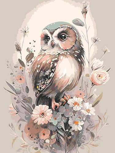 GJSZZO Owl Paint by Numbers Adult, Blume und Eule Malen nach Zahlen für Erwachsene, Malen-nach-Zahlen-Bilder für die Wanddekoration 30x40 cm von GJSZZO