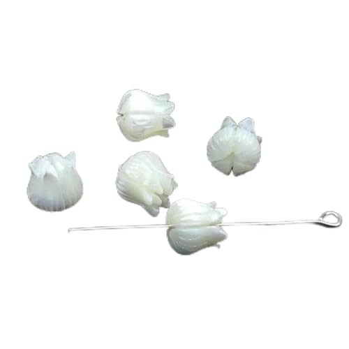 Muschel-Charms, natürlich geschnitzte Perlmutt-Blumenmuschel-Anhänger, Perlen für DIY-Halsketten, Schmuckherstellung, 5 Lilien, 5 Stück Muschel-Charms, natürlich geschnitzte Perlmutt-Blumenmuschel-Anhänger, Perlen für DIY-Halsketten, Schmuckherstellung, 5 Lilien, 5 Stück von GJUYTD