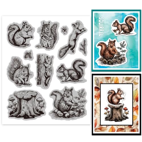 GLOBLELAND Eichhörnchen Eichel Stempel 7.09x8.66Inch Herbst Eichhörnchen EVA Stempel Prägestempel Siegelstempel Für DIY Scrapbooking Und Kartenherstellung Papierbasteldekor von GLOBLELAND