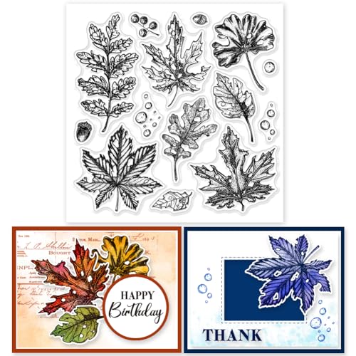 GLOBLELAND Herbstblätter Clear Stempels 5.91x5.91 Zoll Ahornblätter Ginkgo Biloba Blätter Silikon Clear Stempel Siegel Wassertropfen Eicheln Transparente Stempel Für DIY Scrapbooking Karten von GLOBLELAND