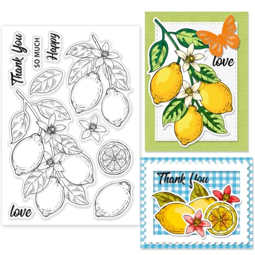 GLOBLELAND Klarer Stempel Mit Zitronenfruchtmotiv Zum Gestalten von Karten Blumen Silikon Klarstempel Transparentes Stempelsiegel Für DIY Scrapbooking Prägung Papieralbum Basteln Tagebuch Dekoration von GLOBLELAND