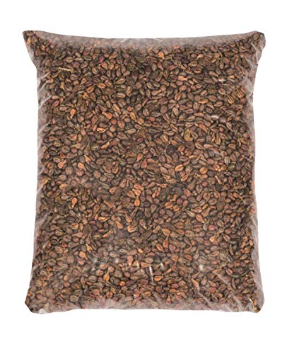 Glorex 0 2509 03 Traubenkernchen, natur, 1000g von GLOREX