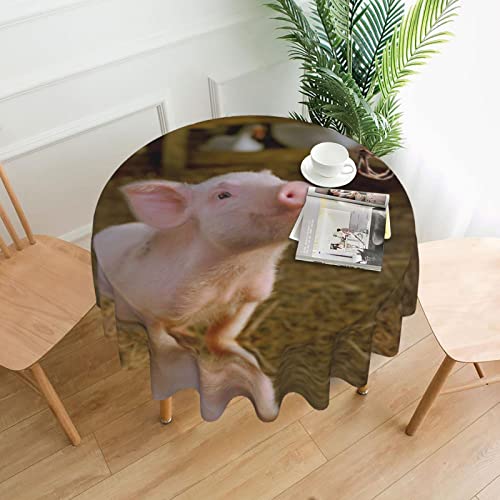 Never Wrestle with Pigs Tischdecke, wasserabweisend, auslaufsicher, waschbar, Polyester-Tischdecke, dekorativer Stoff, Tischdecke für Esstisch, Buffet-Partys und Camping, 152,4 cm von GLRTORE