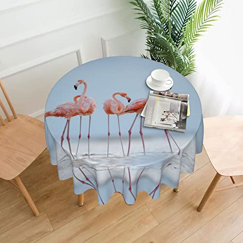 Süße Flamingo-Tischdecke, wasserabweisend, auslaufsicher, waschbar, Polyester-Tischdecke, dekorativer Stoff, Tischdecke für Esstisch, Buffet-Partys und Camping, 152,4 cm von GLRTORE