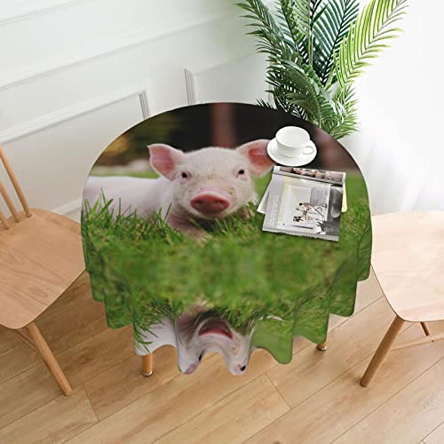 Tischdecke mit niedlichem Schwein, wasserabweisend, auslaufsicher, waschbar, Polyester, dekorative Stoff-Tischdecke für Esstisch, Buffet-Partys und Camping, 152,4 cm von GLRTORE