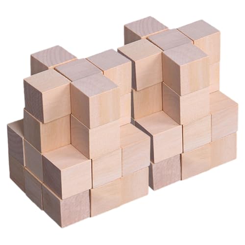 GLSTOY 250 Stück Unfertige Holzklötze Quadrat Bausteine Für Kinder Unbemalte Würfelblöcke Zum Kreativen Bauen Und Spielen Ideal Für Bastelprojekte Und Pädagogisches Spielzeug von GLSTOY