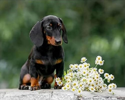 GLTEYACO Erwachsene Kreuzstich Stickpackungen Tierhund 11CT Stickvorlagen Stickbilder Zum Vorgedruckt Starter Set FüR Kinder AnfäNger-40X50 cm von GLTEYACO