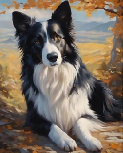 GLTEYACO Kreuzstich Vorgedruckt Set Border Collie 11CT Kreuzstich Stickpackungen DIY Stickbilder für Anfänger Home Decor-40x50 cm von GLTEYACO