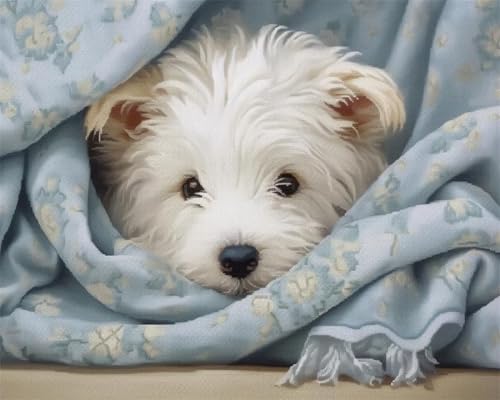 GLTEYACO Kreuzstich Vorgedruckt Set West Highland White Terrier 11CT Kreuzstich Stickpackungen DIY Stickbilder für Anfänger Home Decor-40x50 cm von GLTEYACO