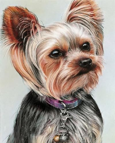 GLTEYACO Kreuzstich Vorgedruckt Set Yorkshire Terrier 11CT Kreuzstich Stickpackungen DIY Stickbilder für Anfänger Home Decor-40x50 cm von GLTEYACO