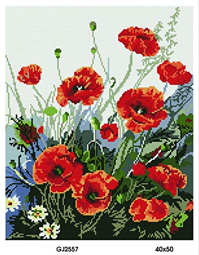 Diamond Vollbedeckung mit Holzrahmen Painting Set Bild 40 x 50 Diamant Malerei Stickerei Handarbeit Basteln Mosaik Steine Blumen Korb Haus am Bach (GJ2557) von GMMH