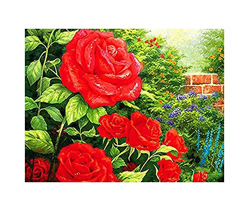 GMMH Diamond Painting Set Bild 14 x 18 Diamant Malerei Stickerei Handarbeit Basteln Mosaik Steine Blumen Rosen von GMMH