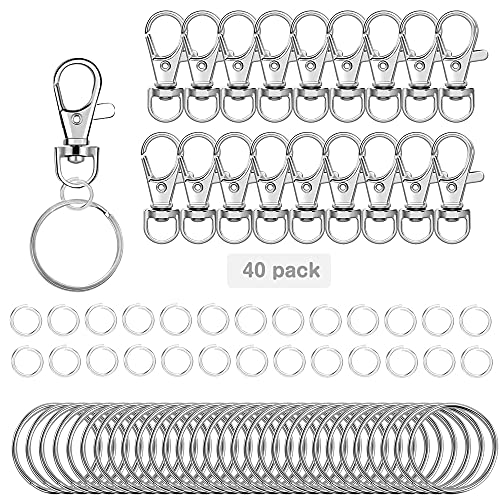 40 Stück Kleine abnehmbare Drehverschlüsse für Schlüsselringe, Karabiner Schlüsselanhänger Mini Klein Karabinerhaken Schlüsselanhänger Kosmetik & Schmuck 40 Stück Kleine abnehmbare Drehverschlüsse für Schlüsselringe, Karabiner Schlüsselanhänger Mini Klein Karabinerhaken Schlüsselanhänger Kosmetik & Schmuck von GOCROWEEN