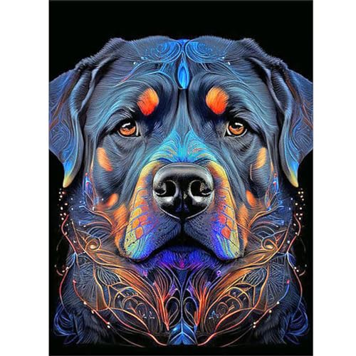 GOGHSCEK Diamond Painting Bilder Hund, 5D Diamond Painting Diamant Painting Bilder Erwachsene Tiere, DIY Diamant Malerei Bilder Erwachsene Hund Set 30x40cm Schwarzer Hund für Dekoration von GOGHSCEK