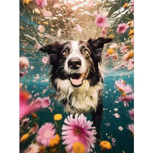 GOGHSCEK Diamond Painting Bilder Hund, 5D Diamond Painting Diamant Painting Bilder Erwachsene Tiere, DIY Diamant Malerei Bilder Erwachsene Set 30x40cm Hunde im Wasser für Dekoration von GOGHSCEK