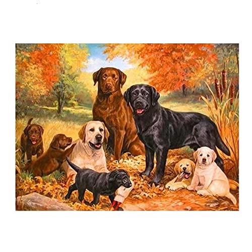 GOKSOY DIY 5D Diamant Malerei Kit Labrador-Hund Diamond Painting Full Groß Kristall Strass Stickerei Kreuzstich Arts Craft Gemälde Malen nach Zahlen für Wanddekoration 30x40cm/12x16inch von GOKSOY