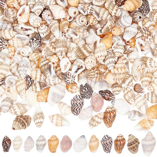 GOMAKERER 400 Stück Natürliche Muschelperlen, Spirale Muschelperlen Loch 1mm Muschel Schmuckstück Aquarium Ornamente Sommer Kleine Muscheln Für Die Schmuckherstellung, DIY-Basteln von GOMAKERER