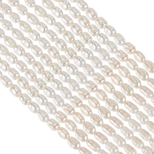 GOMAKERER Ca. 49 Stück Naturperlen 7mm Cremeweiße Natürliche Süßwasser Zuchtperlen Der Güteklasse A Glänzende Strukturierte Perlen Kartoffelform Perlen Zur Schmuckherstellung 1 Strang (0.6 Mm Loch) GOMAKERER Ca. 49 Stück Naturperlen 7mm Cremeweiße Natürliche Süßwasser Zuchtperlen Der Güteklasse A Glänzende Strukturierte Perlen Kartoffelform Perlen Zur Schmuckherstellung 1 Strang (0.6 Mm Loch) von GOMAKERER