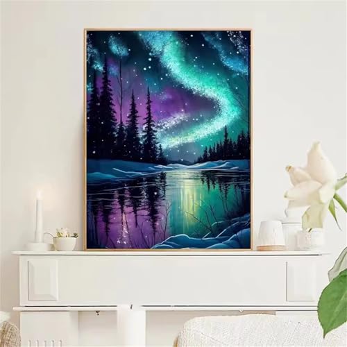 GOOFEI DIY Adult Diamond Painting Embroidery Set Aurora Borealis Wald,5D Full Diamond Painting Craft Runder Bohrer Home Wall Decoration Art Painting Kits 45x25cm von GOOFEI