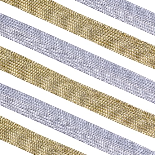 GORGECRAFT 24 Yard 2 Farben Elastisches Band 12.5mm Breit Glitzerndes Metallisches Band Flaches Elastisches Band Geflochtenes Stretchband Elastizität Gestricktes Gurtband Bekleidungszubehör Nähen von GORGECRAFT