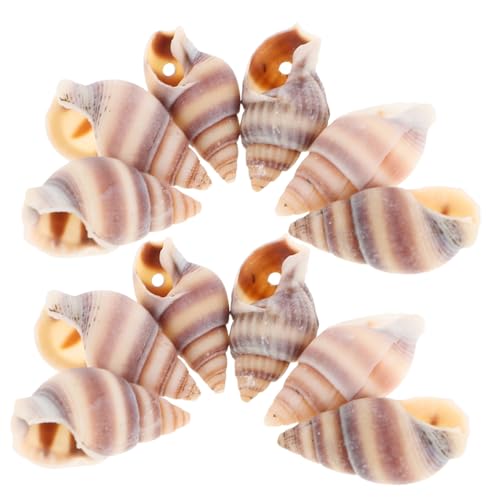 100 Stück Muschel Anhänger Muschel Piercing Schmuck Aquarium Zubehör Natürliche Muscheldekoration Miniaturmuscheln Künstliche Muscheln Strandperlen Muschelperlen GRADENEVE von GRADENEVE