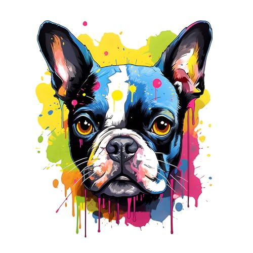 GRAZDesign Wandtattoo Hund Boston Terrier buntes cooles Wandsticker für Jugendzimmer, Kinderzimmer, Wohnzimmer Wandaufkleber - 60x50cm von GRAZDesign