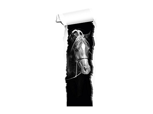 GRAZDesign Wandtattoo Pferd Tapete | Wandtattoo Kinderzimmer Mädchen | Wandsticker Pferdekopf braun | Deko Wanddeko selbstklebend XXL Schwarz Weiß Bild, 120x50cm GRAZDesign Wandtattoo Pferd Tapete | Wandtattoo Kinderzimmer Mädchen | Wandsticker Pferdekopf braun | Deko Wanddeko selbstklebend XXL Schwarz Weiß Bild, 120x50cm von GRAZDesign