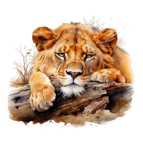 GRAZDesign Wandtattoo Safari Tiger Tiere Wandaufkleber Wildtiere Wandsticker für Wohnzimmer, Schlafzimmer, Kinderzimmer - 34x30cm von GRAZDesign