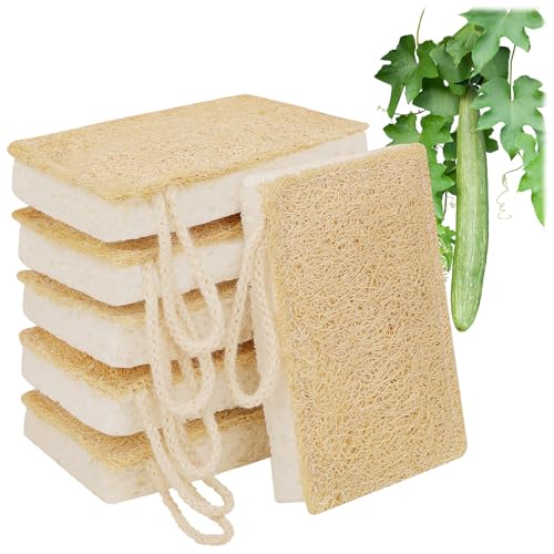 GRBAIN 6 Stück Spülschwamm Naturschwamm Gemacht aus Luffa Schwamm Biologisch Abbaubar Dauerhaft Schmutzradierer Schwamm Wiederverwendbar Küchenschwamm Naturschwamm Zum Duschen Nachhaltige Produkte von GRBAIN