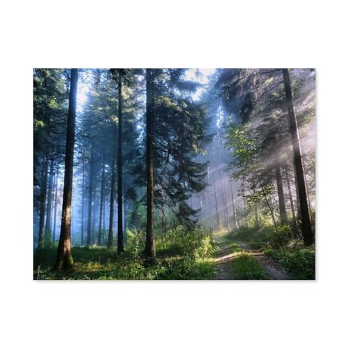 GSBRSNTS 3D DIY Diamond Painting Set，Wald am frühen，Runder Diamant-Kreuzstich, handgestickte Familie Wanddekoration Malerei（40 x 50 cm/15.74 x 19.68 Zoll）-A47 von GSBRSNTS