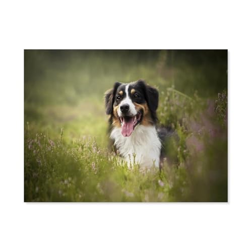 GSBRSNTS 5D DIY Diamantmalerei Kit，Australian Shepherd Cute Pet Dog Animal，Kristallmosaik Vollbohrer Round Diamantmalerei Stickerei Zubehör（50 x 60 cm/19.68 x 23.62 Zoll）-B86 von GSBRSNTS