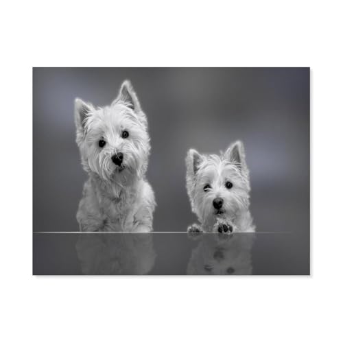 GSBRSNTS 5D DIY Diamond Painting Kit，West Highland White Terrier Welpe，Mosaik, Diamantmalerei für Erwachsene, Round Diamond Picture Home Art（50 x 60 cm/19.68 x 23.62 Zoll）-F14 von GSBRSNTS