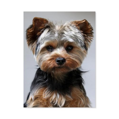 GSBRSNTS 5D DIY Diamond Painting Kit，Yorkshire Terrier，Mosaik, Diamantmalerei für Erwachsene, Round Diamond Picture Home Art（30 x 40 cm/11.81 x 15.74 Zoll）-E74 von GSBRSNTS