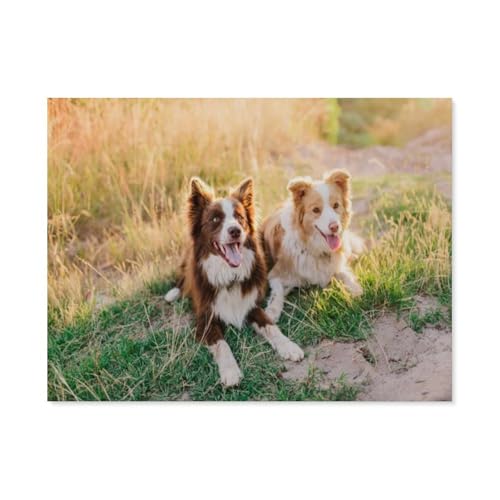 GSBRSNTS 5D DIY Diamond Painting Set，Australian Shepherd Dogs，Runder Diamant Kreuzstich, Mosaik Raumdekoration Malerei（30 x 40 cm/11.81 x 15.74 Zoll）-F4 von GSBRSNTS