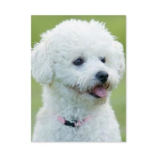 GSBRSNTS 5D DIY Diamond Painting Set，Bichon Frise Hund，Runder Diamant Kreuzstich, Mosaik Raumdekoration Malerei（30 x 40 cm/11.81 x 15.74 Zoll）-D24 von GSBRSNTS