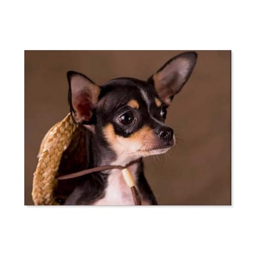 GSBRSNTS 5D DIY Diamond Painting Set，niedlicher Chihuahua，Runder Diamant Kreuzstich, Mosaik Raumdekoration Malerei（30 x 40 cm/11.81 x 15.74 Zoll）-B84 von GSBRSNTS