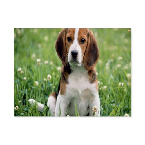 GSBRSNTS 5D Diamond Painting，Beagle，DIY-Stickerei, runder Diamant-Kreuzstich, Heimdekoration（50 x 60 cm/19.68 x 23.62 Zoll）-B79 von GSBRSNTS