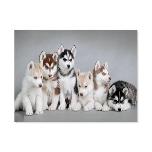 GSBRSNTS 5D Diamond Painting，Husky-Familie，DIY-Stickerei, runder Diamant-Kreuzstich, Heimdekoration（50 x 60 cm/19.68 x 23.62 Zoll）-B19 von GSBRSNTS