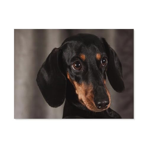 GSBRSNTS 5D diy Diamond Painting，Schwarzer Dackel Haustier Hund，Full Round Diamantstickerei Mosaik Kreuzstichmuster Perlenstickerei Home Deco（40 x 50 cm/15.74 x 19.68 Zoll）-D29 von GSBRSNTS