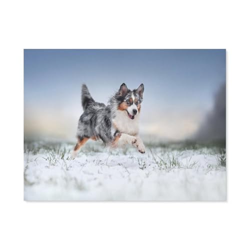 GSBRSNTS Australischer Schäferhund，Diamant-Malerei-Sets für Erwachsene – 5D-Diamant-Malerei-Kit, Vollbohrer Diamant-Kunst-Kits für Zuhause Wanddekoration（40 x 50 cm/15.74 x 19.68 Zoll）-H62 von GSBRSNTS