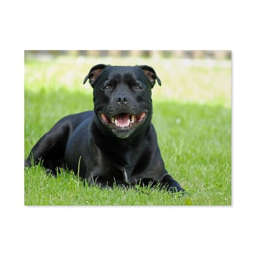 GSBRSNTS Bull-Terrier Schwarzer Hund，DIY Diamant Stickerei volle Round Bohrer 5d DIY Diamant malerei mosaik dekoration（50 x 60 cm/19.68 x 23.62 Zoll）-F3 von GSBRSNTS