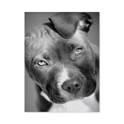 GSBRSNTS DIY 5D Diamond Painting，schwarz und weiß pit bull hund，Round Diamond Cross Stitch, Used for Room Decoration（30 x 40 cm/11.81 x 15.74 Zoll）-F12 von GSBRSNTS