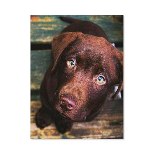 GSBRSNTS DIY 5d Diamantmalerei，Labrador-Hund，Kreuzstich Volldiamant Kristall Strass Stickerei Bild Handwerk Handwerk Wanddekoration Geschenk（30 x 40 cm/11.81 x 15.74 Zoll）-A95 von GSBRSNTS