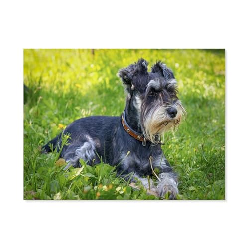 GSBRSNTS DIY Diamond Painting Set，Schnauzer-Hund，Diamantmalerei, handgemachte Stickerei Geschenke für Erwachsene/Kinder（30 x 40 cm/11.81 x 15.74 Zoll）-B8 von GSBRSNTS