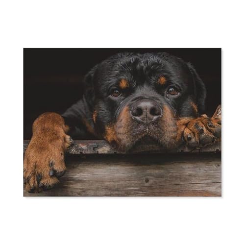 GSBRSNTS DIY Diamond Painting Set，niedlich schwarz Rottweiler，Diamantmalerei, handgemachte Stickerei Geschenke für Erwachsene/Kinder（40 x 50 cm/15.74 x 19.68 Zoll）-D28 von GSBRSNTS