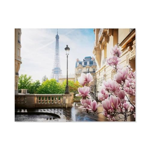 GSBRSNTS DIY Malen nach Zahlen，Frühling in Paris，diy malen nach zahlen erwachsene landsch Mit Pinsel und Acrylfarbe Erwachsenenfarbe nach Zahlen Kits Kunst(20x30cm-A94 von GSBRSNTS