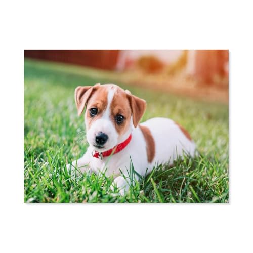 GSBRSNTS Diamond 5D DIY Diamond Painting，Jack-Russell-Terrier-Tierhund，3D-Stickerei Kreuzstich-Mosaik-Malerei-Dekor（40 x 50 cm/15.74 x 19.68 Zoll）-B16 von GSBRSNTS