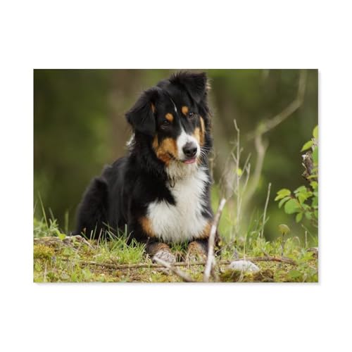 GSBRSNTS Diamond Painting，Australian Shepherd Dog，Diamant Malerei Kunst Stickerei Kreuzstich Bilder Geschenk Wanddekoration（30 x 40 cm/11.81 x 15.74 Zoll）-E70 von GSBRSNTS