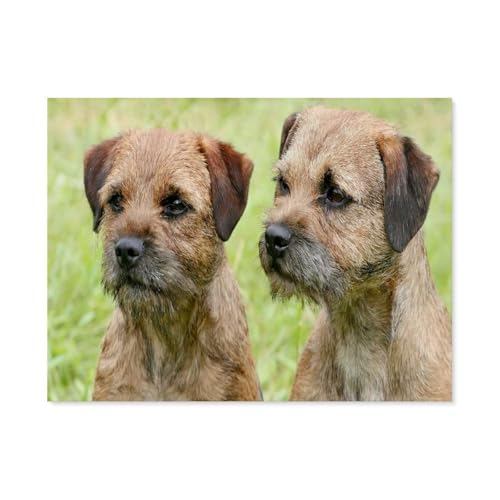 GSBRSNTS Diamond Painting，Border Terrier Hunde，DIY 5d Diamant Painting Bilder, Diamant malerei Kits Malen nach Zahlen Wohnzimmer Bilder für die Inneneinrichtung（30 x 40 cm/11.81 x 15.74 Zoll）-E97 von GSBRSNTS